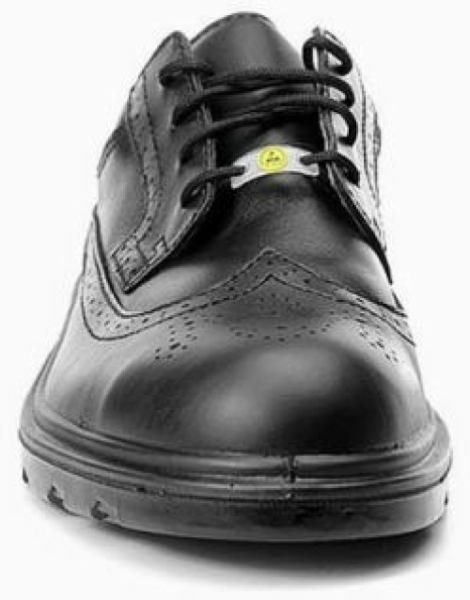 ELTEN-Footwear, Arbeits-Berufs-Sicherheits-Schuhe, Halbschuhe, Officer ESD S2