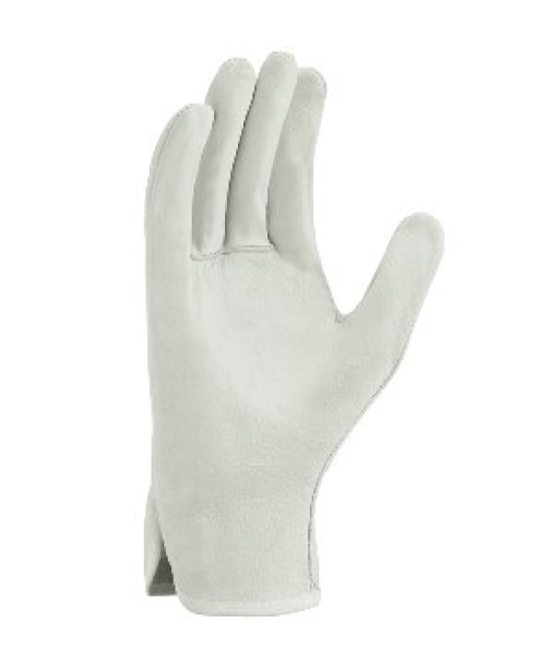 BIG-TEXXOR-Rindnappaleder-Fahrerhandschuhe, Fahrer, natur