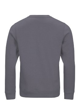 4PROTECT® Sweatshirt, grau