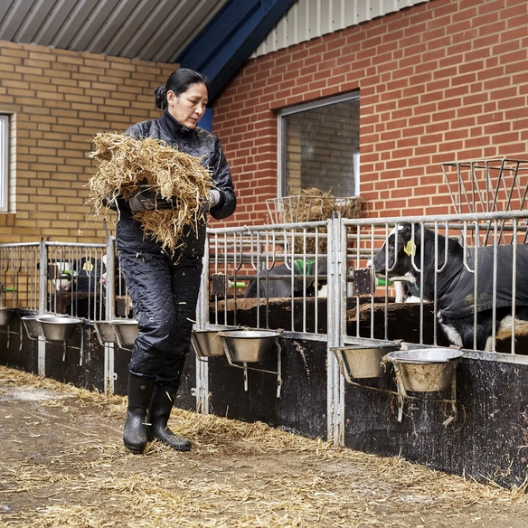 ELKA-Workwear, Kälte-Schutz, Damen-Thermo-Arbeits-Bund-Hose, Thermo und Faserpelz, 200g/m², schwarz