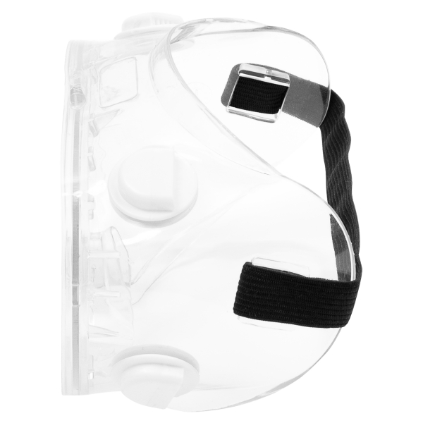 NITRAS VISION PROTECT BASIC, Vollsichtbrille, transparent / transparent