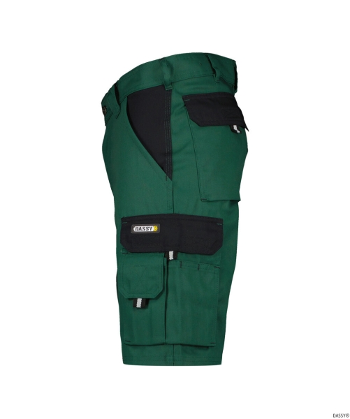 DASSY-Shorts ROMA, , grün/schwarz