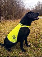KORNTEX-Warnschutz, Hunde-Warnschutzweste, gelb