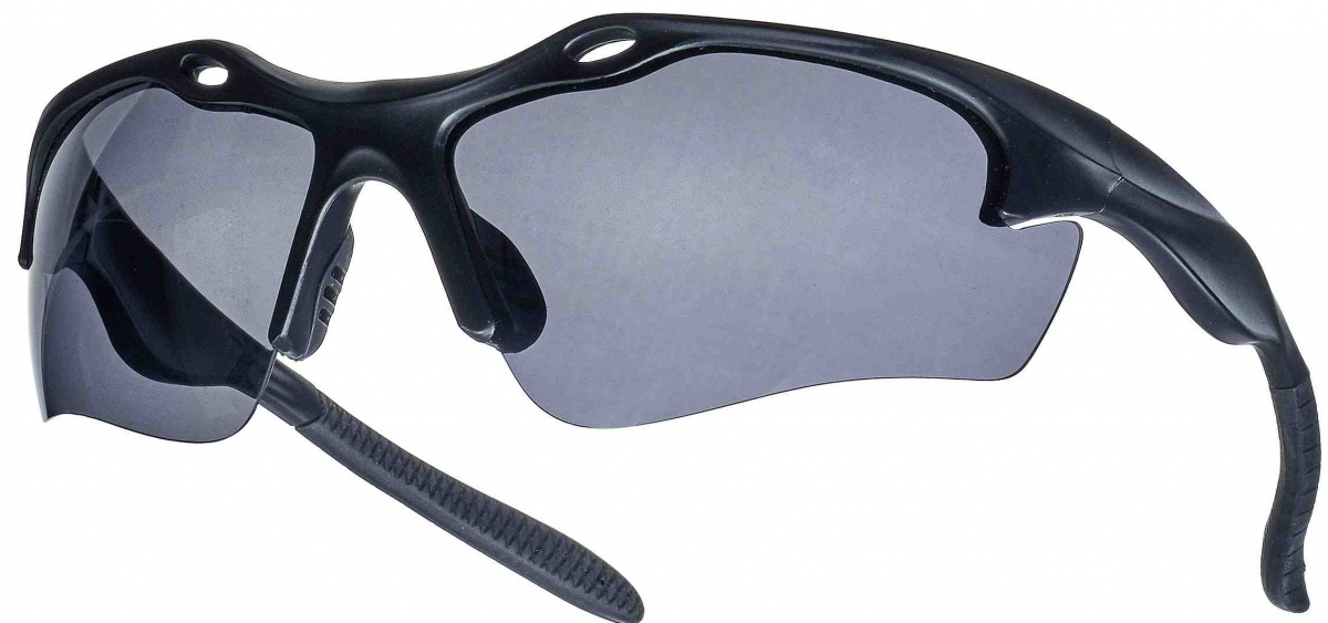 F-TECTOR-Schutzbrille, *GIRO*, polarisierte Glser, schwarz