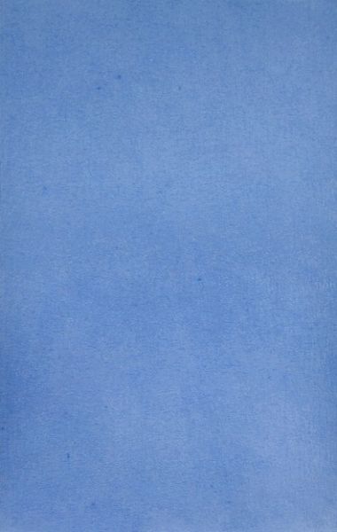 AMPRI-Hygiene, Tray-Filterpapier, 28 x 36 cm, blau, VE = 1 Pkg.  250 Stck