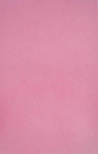 AMPRI-Hygiene, Tray-Filterpapier, 28 x 36 cm, rosa, VE = 1 Pkg.  250 Stck