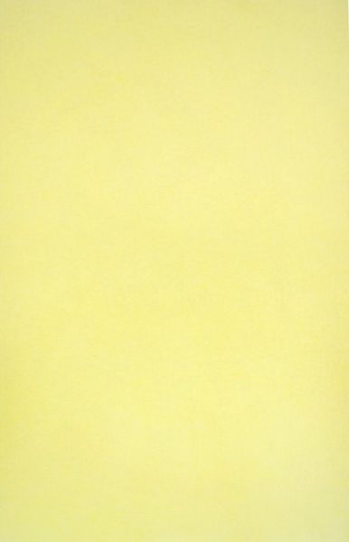 AMPRI-Hygiene, Tray-Filterpapier, 28 x 36 cm, gelb, VE = 1 Pkg.  250 Stck