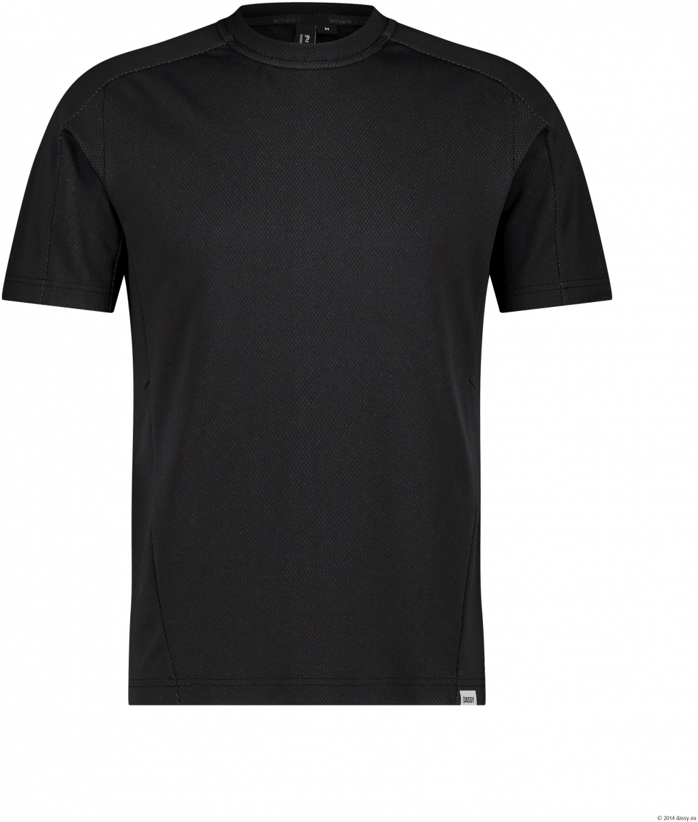 DASSY-T-Shirt VIVID, 200 g/m², schwarz