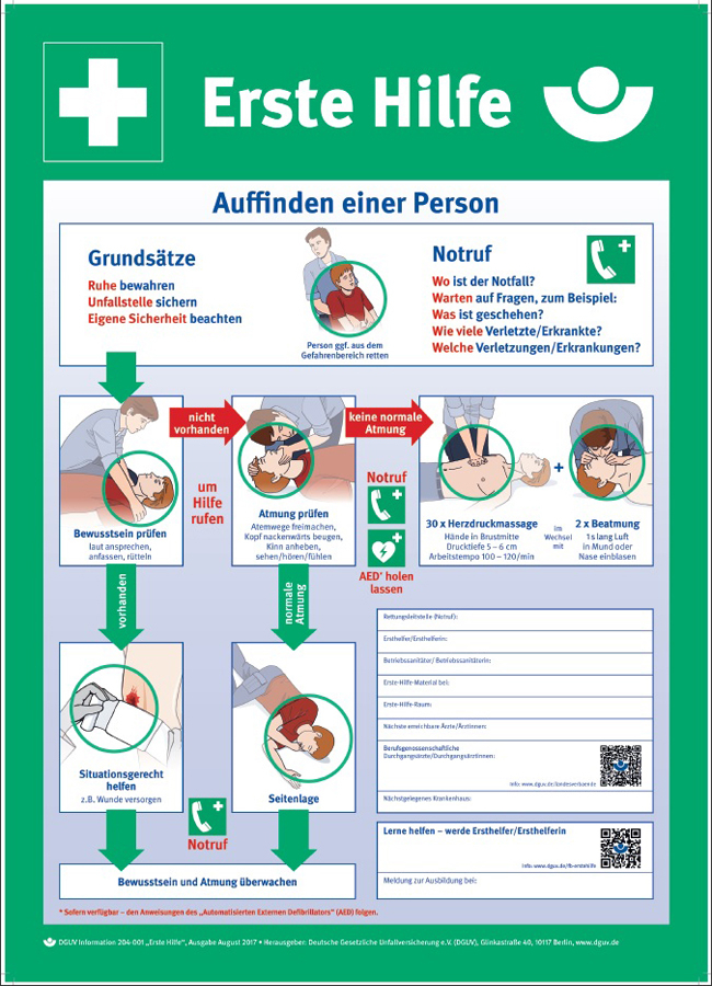 Holthaus Medical, Erste-Hilfe, Tafel Anleitung zur Ersten Hilfe , 560 x 400 mm