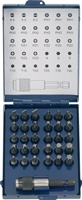 NW-Tecwerk Bitsortiment 31-teilig Schlitz/PH/PZD/TX mit Magnet und Schnellwechselfutter