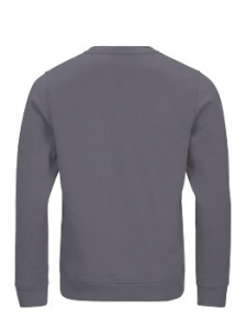 4PROTECT® Sweatshirt, grau